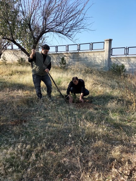11 Kasım Milli Ağaçlandırma Günü